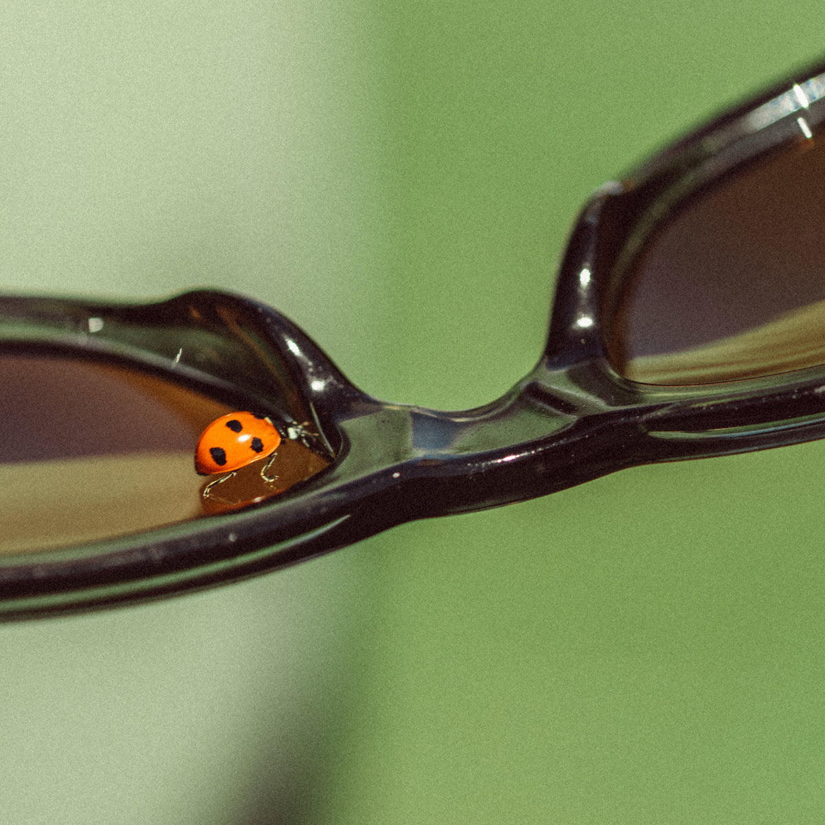 Sunski Targa Sunglasses