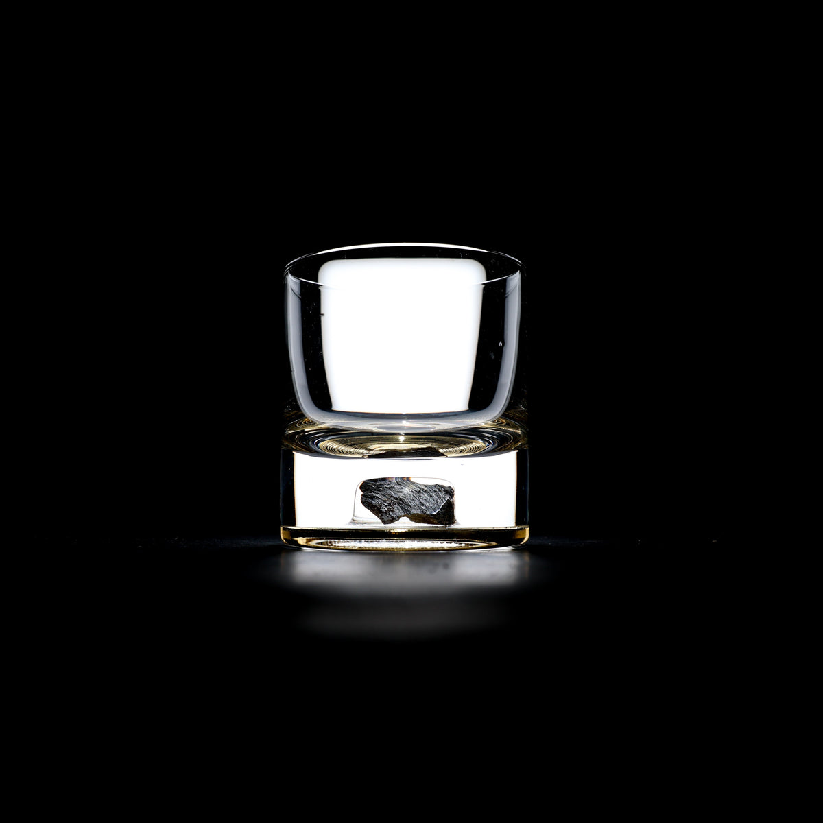 Dinosaur Bone Shard Tumbler Glasses