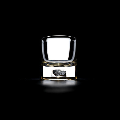 Dinosaur Bone Shard Tumbler Glasses