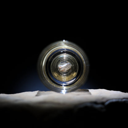 Dinosaur Bone Shard Tumbler Glasses