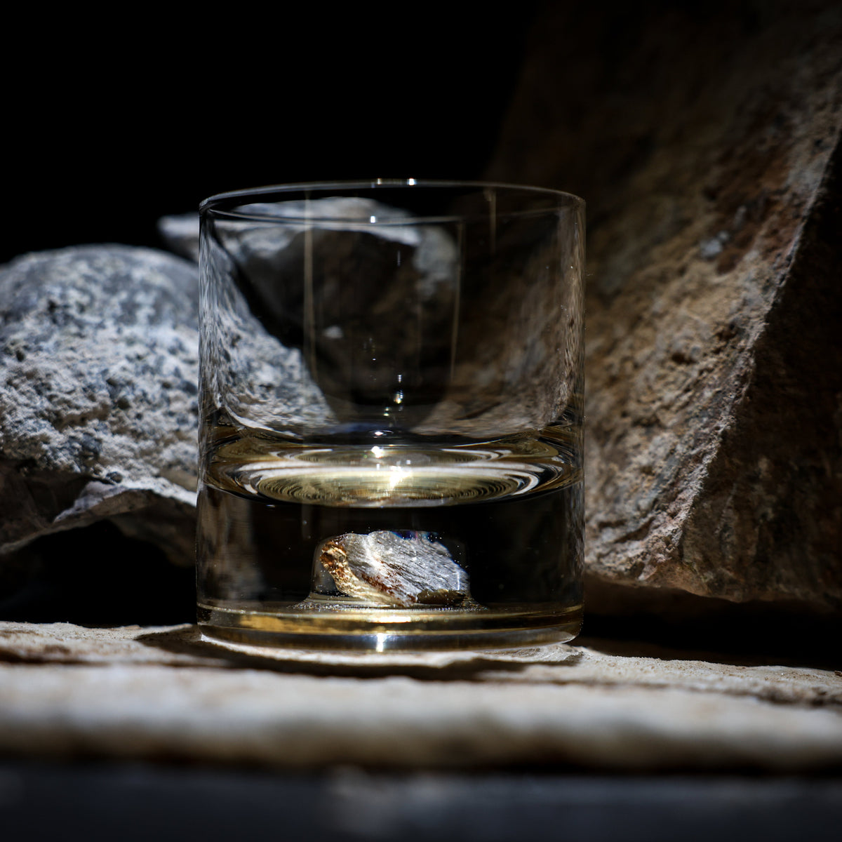 Dinosaur Bone Shard Tumbler Glasses