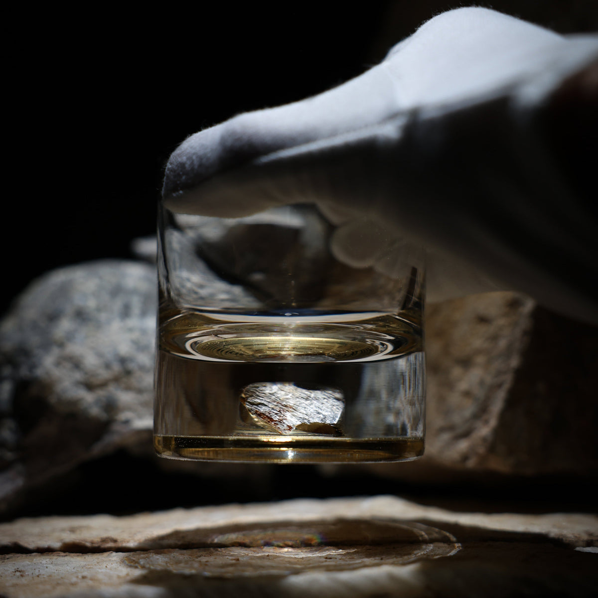 Dinosaur Bone Shard Tumbler Glasses