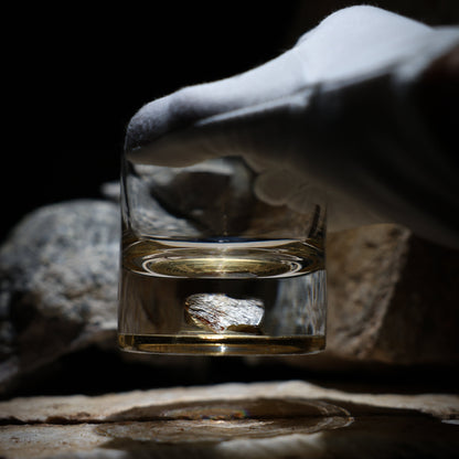 Dinosaur Bone Shard Tumbler Glasses