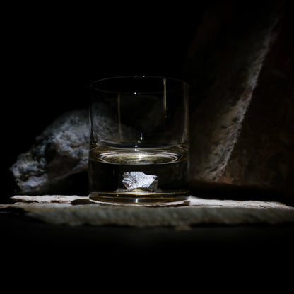 Dinosaur Bone Shard Tumbler Glasses