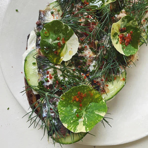 Fishwife Sardines with Hot Pepper