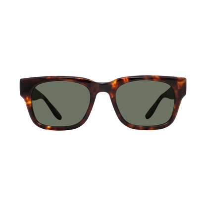 Barton Perreira Domino (51) Sun Chestnut Green Smoke (AR)