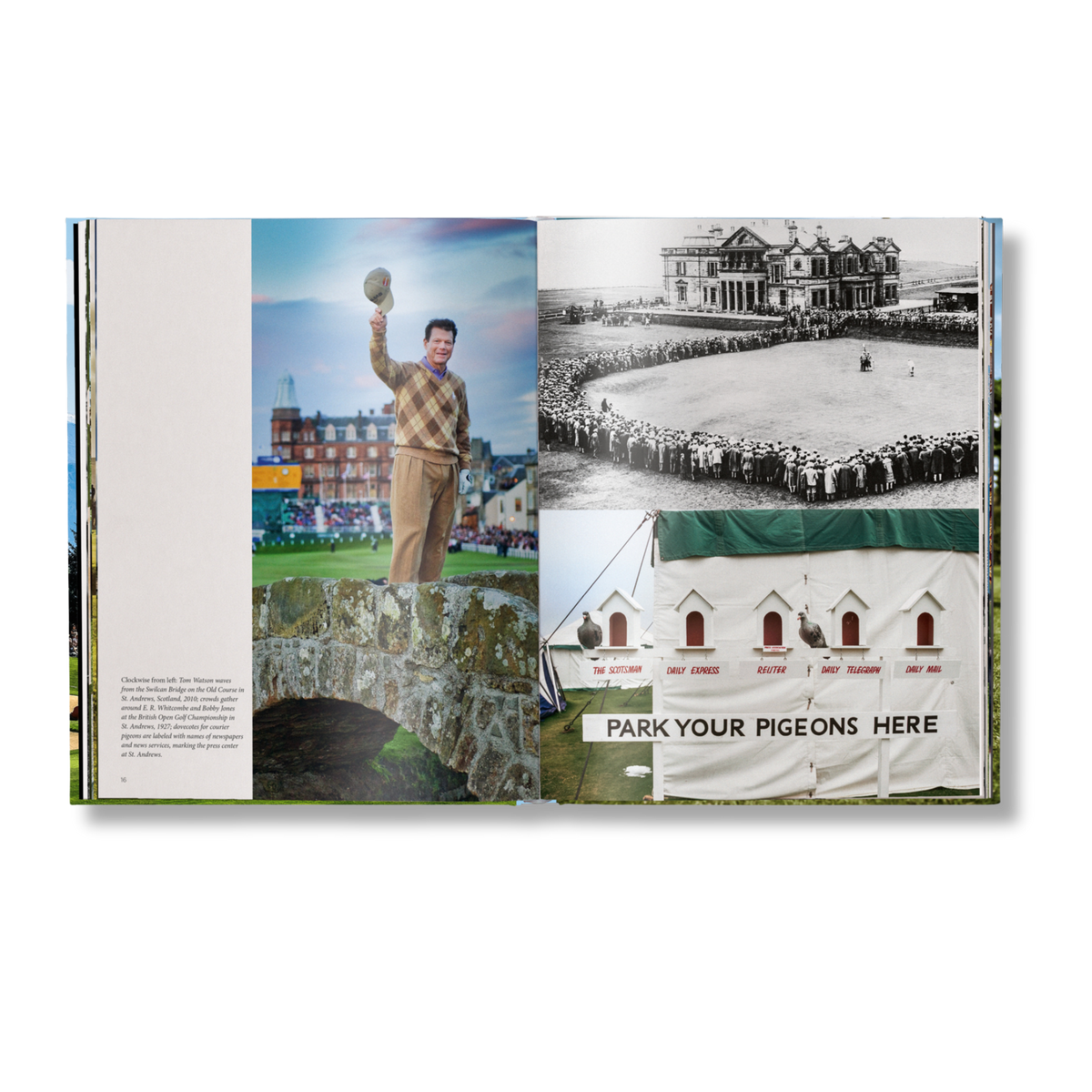 The Stylish Life: Golf