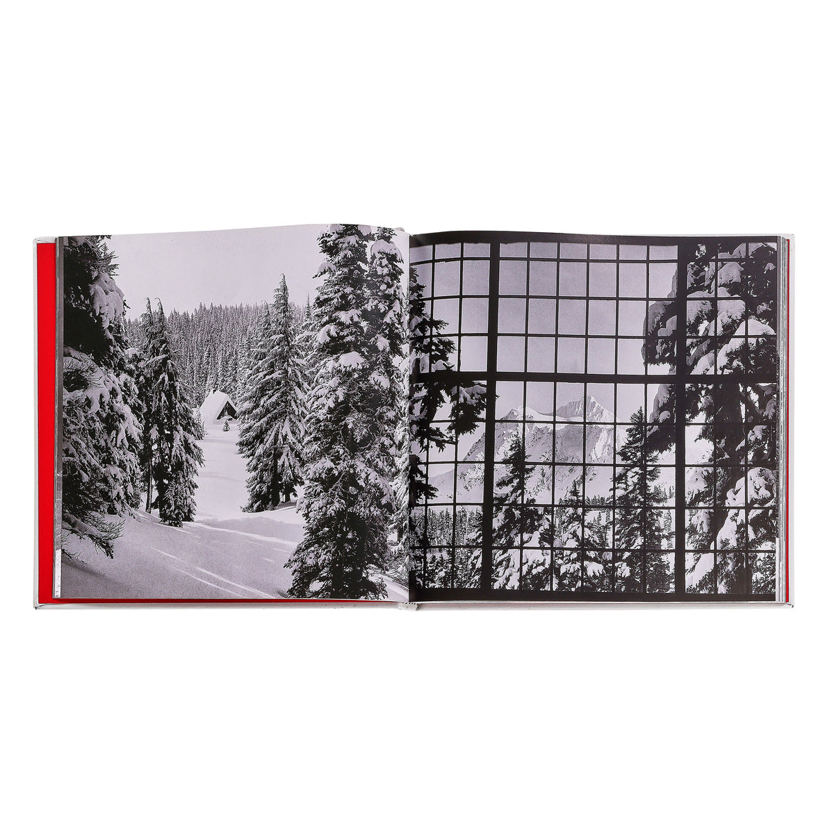 Vintage Skiing