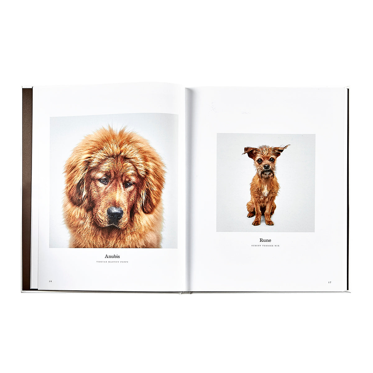 Good Dog: A Selection of Portraits by Randal Ford