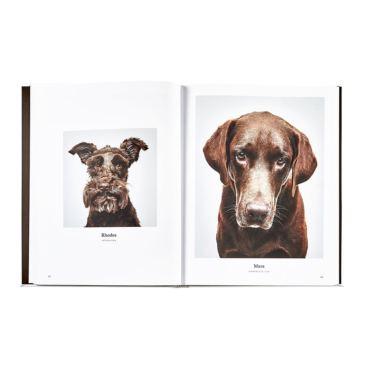 Good Dog: A Selection of Portraits by Randal Ford
