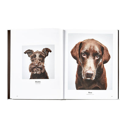 Good Dog: A Selection of Portraits by Randal Ford