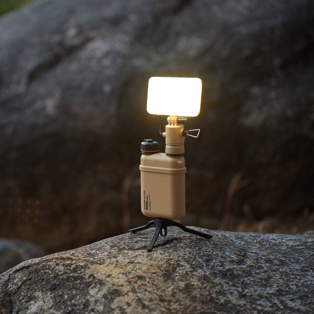 Nestout Flash-1 LED Light