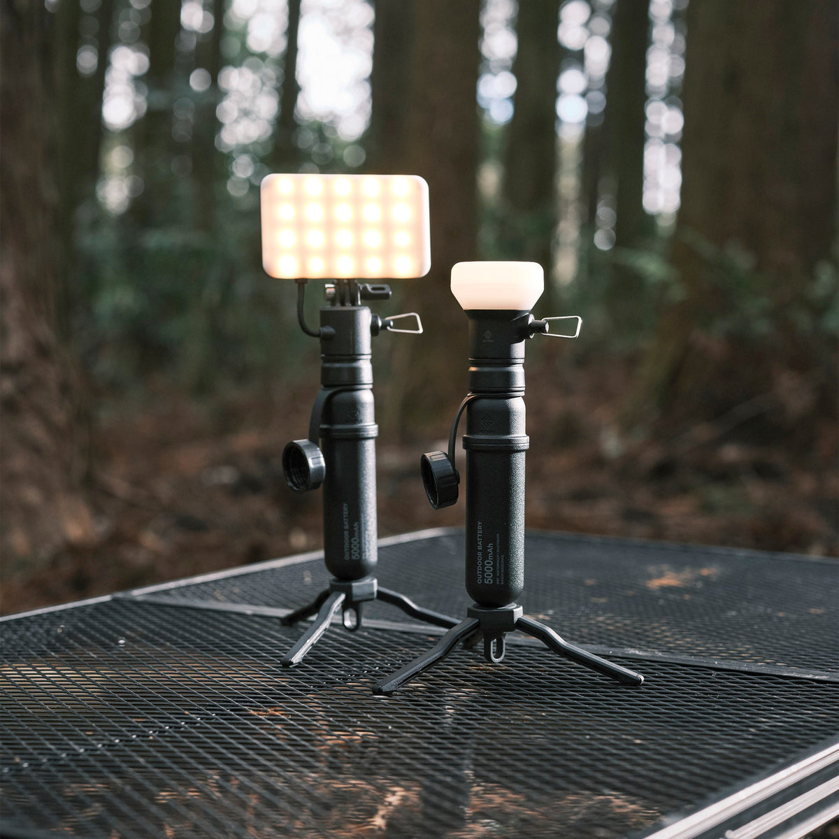 Nestout Flash-1 LED Light