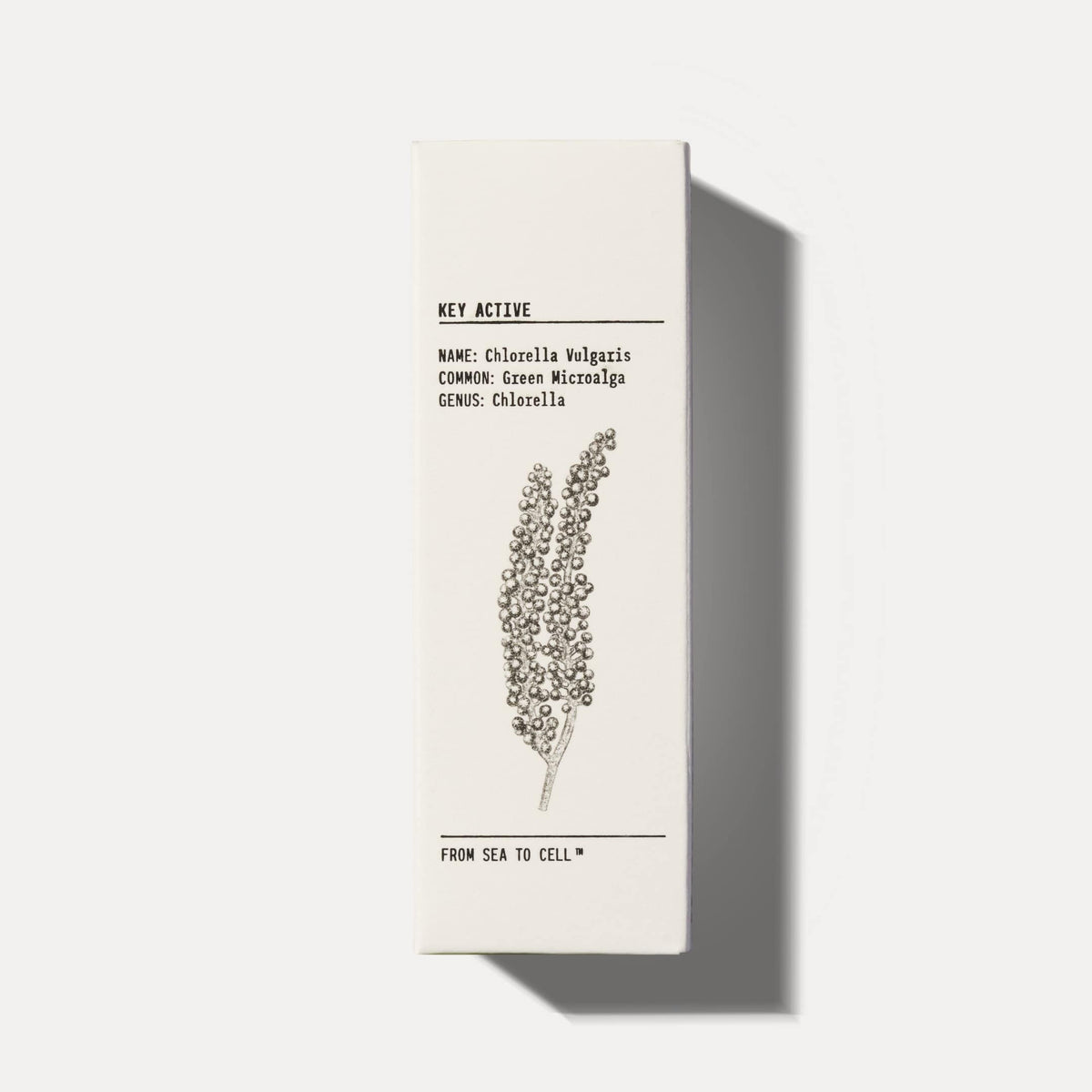 Ycode Hydrating Face Serum