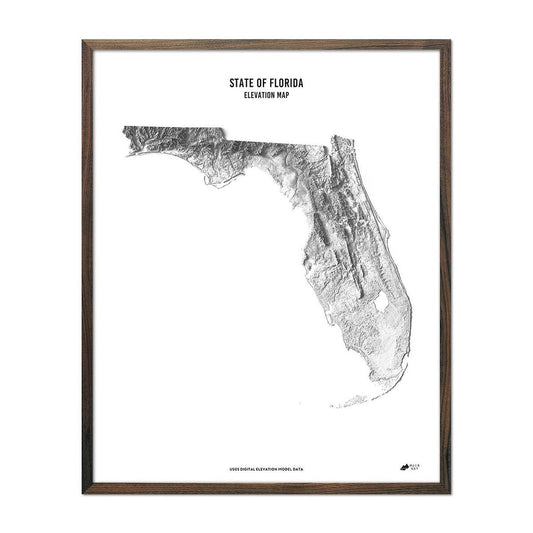 Florida Elevation Map Walnut