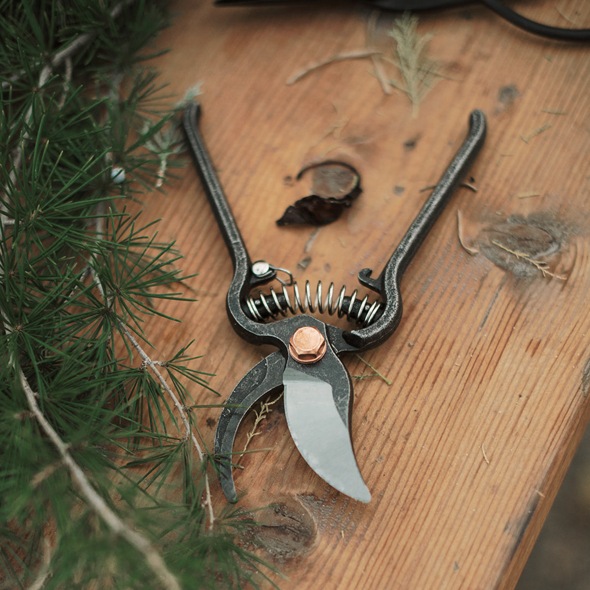 BareBones Pruner