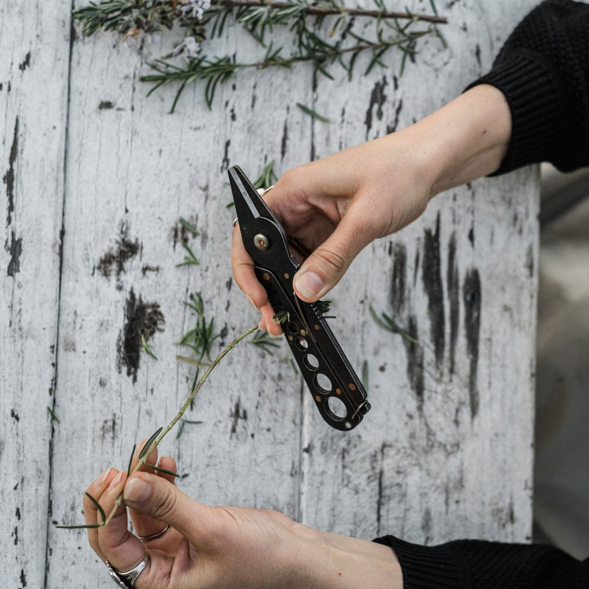 Barbones Herb Harvest and Strip Tool