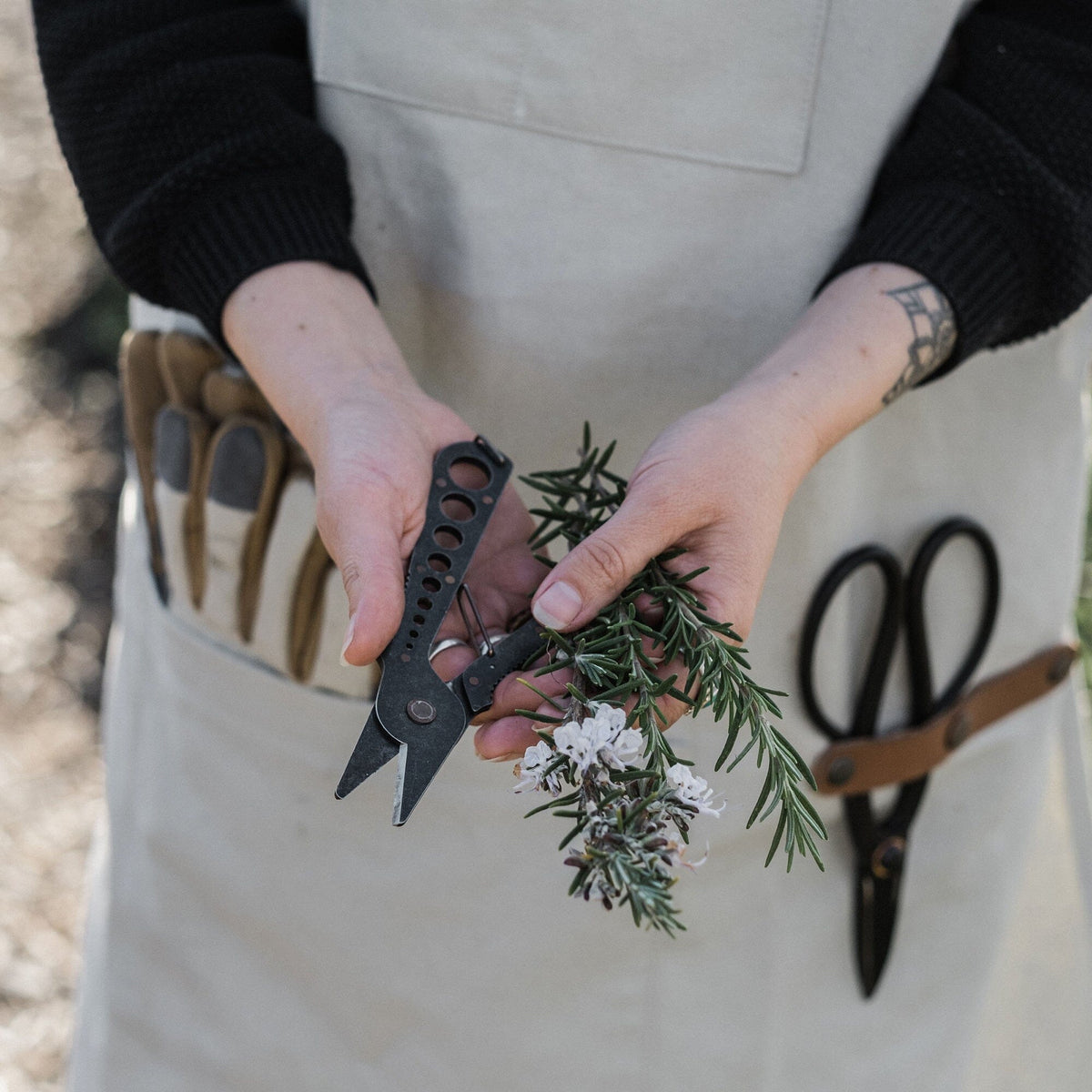 Barbones Herb Harvest and Strip Tool