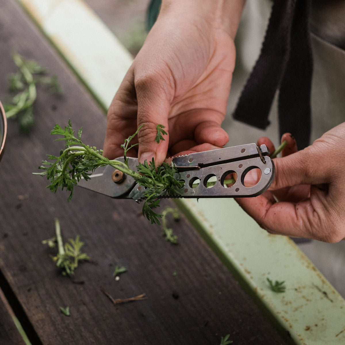 Barbones Herb Harvest and Strip Tool