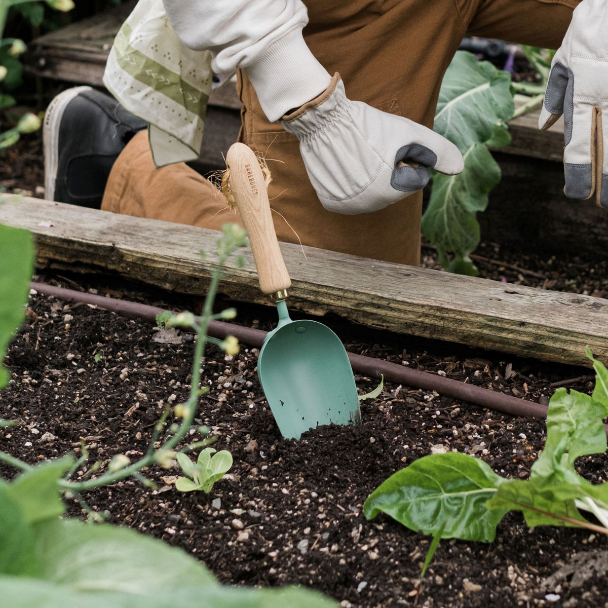 Barebones Garden Scoop