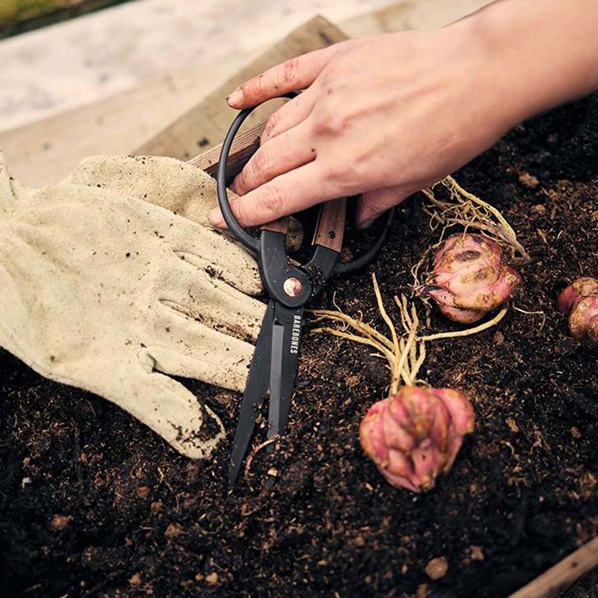 Barebones Garden Scissors