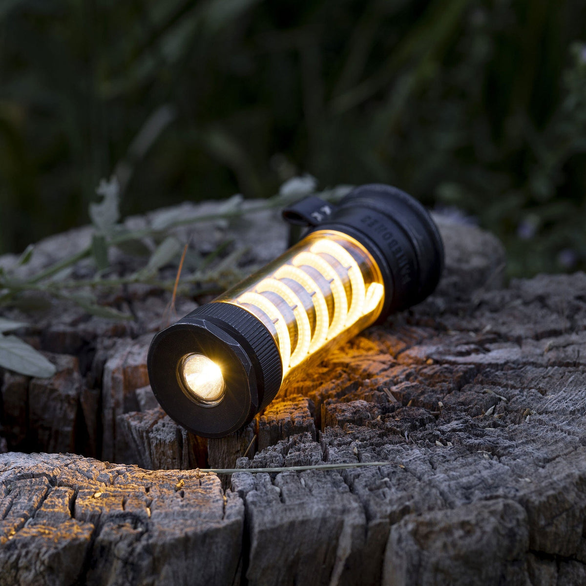 Barebones Edison Light Stick