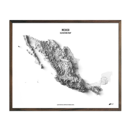 Mexico Elevation Map English Walnut