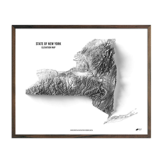 New York Elevation Map Walnut