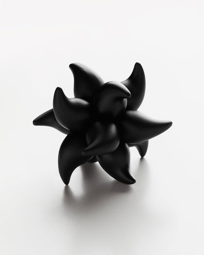 Craighill Andromeda Puzzle