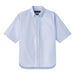 AARON LEVINE SHORT SLEEVE OXFORD SHIRT - BLUE