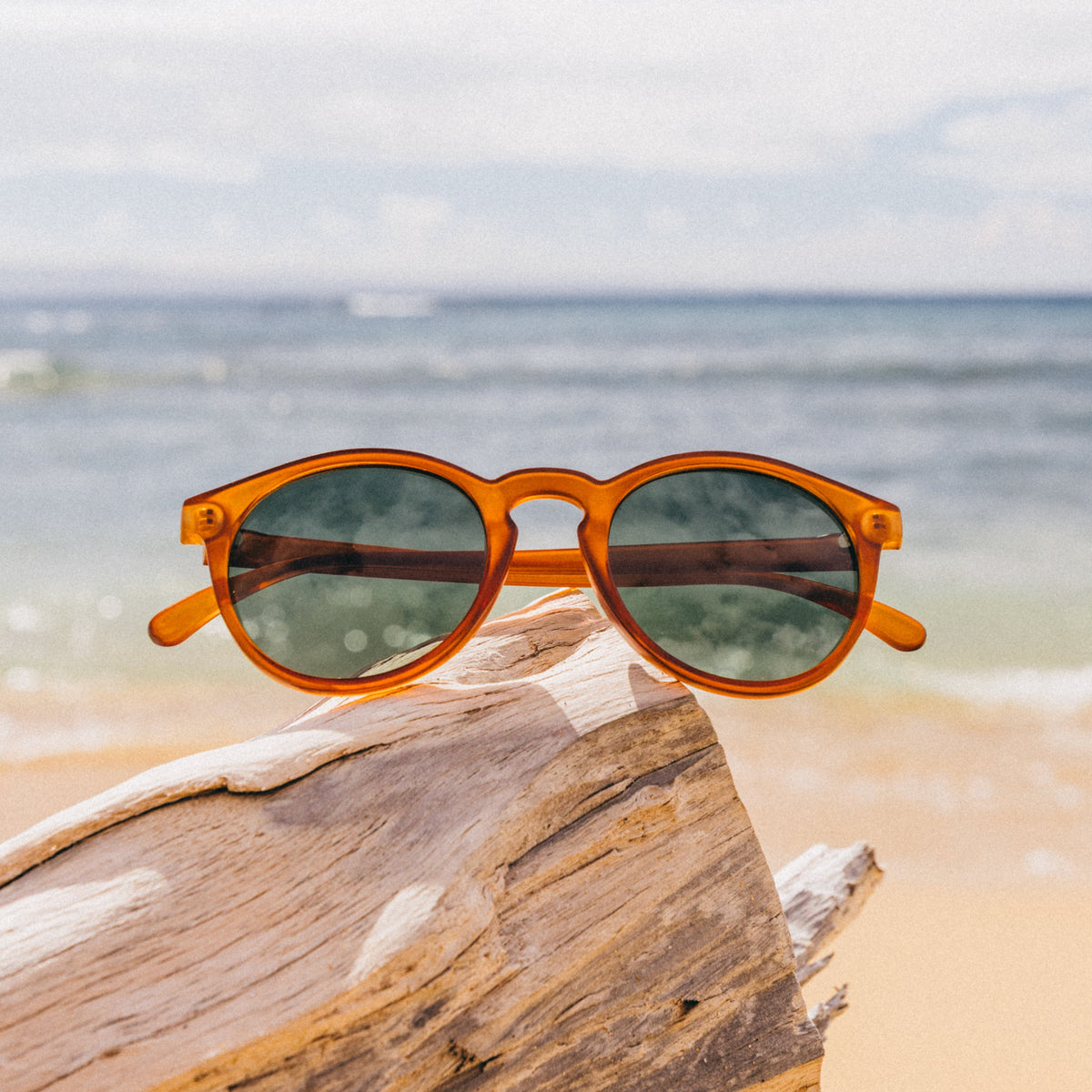 SUNSKI Dipsea Sunglasses