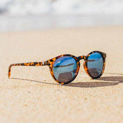 SUNSKI Dipsea Sunglasses