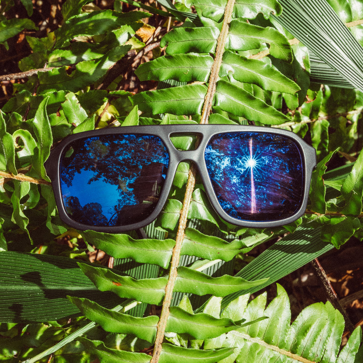 Sunski Paladino Sunglasses