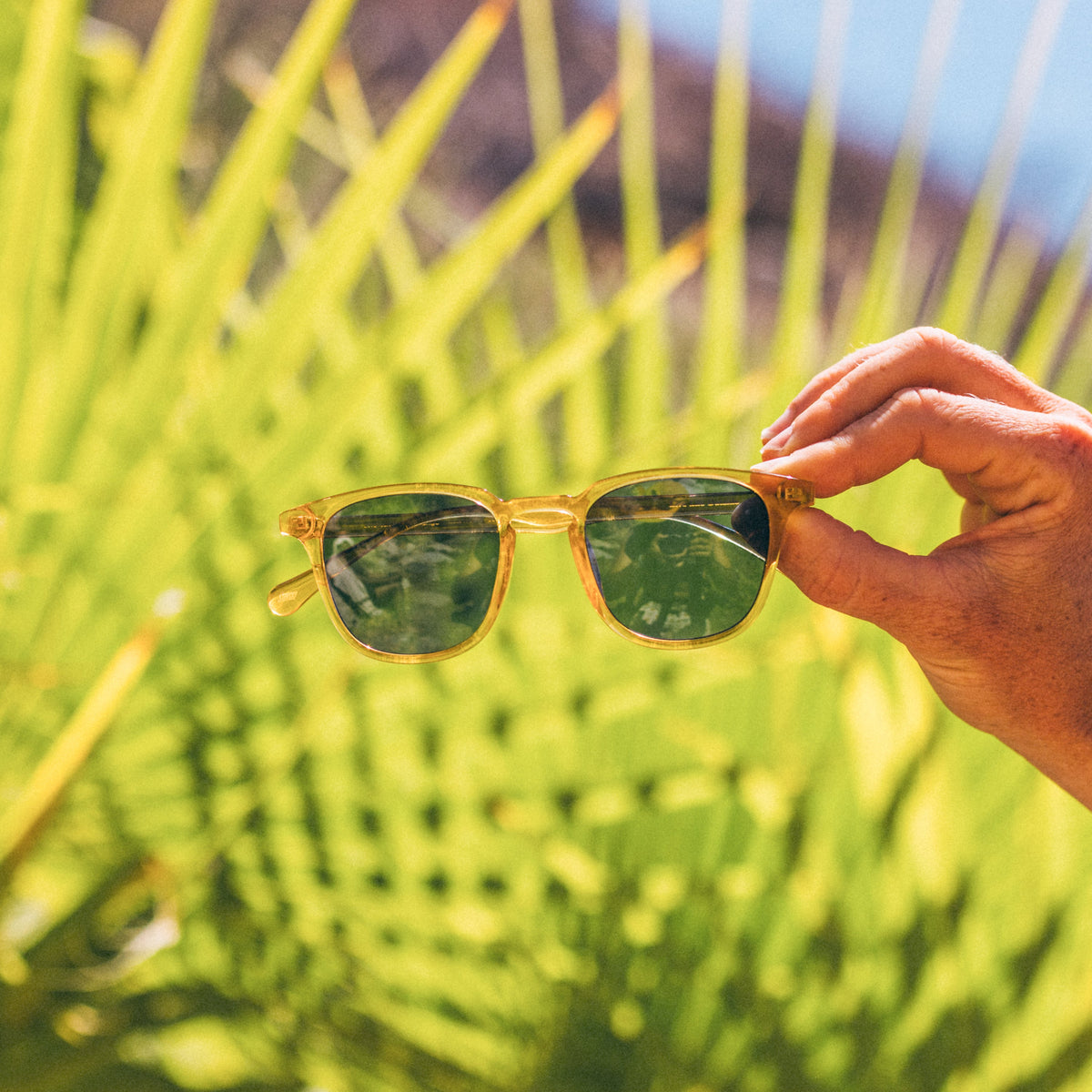 Sunski Tango Sunglasses
