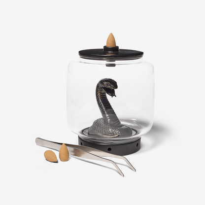 Backflow Incense Burner Bundle Snake