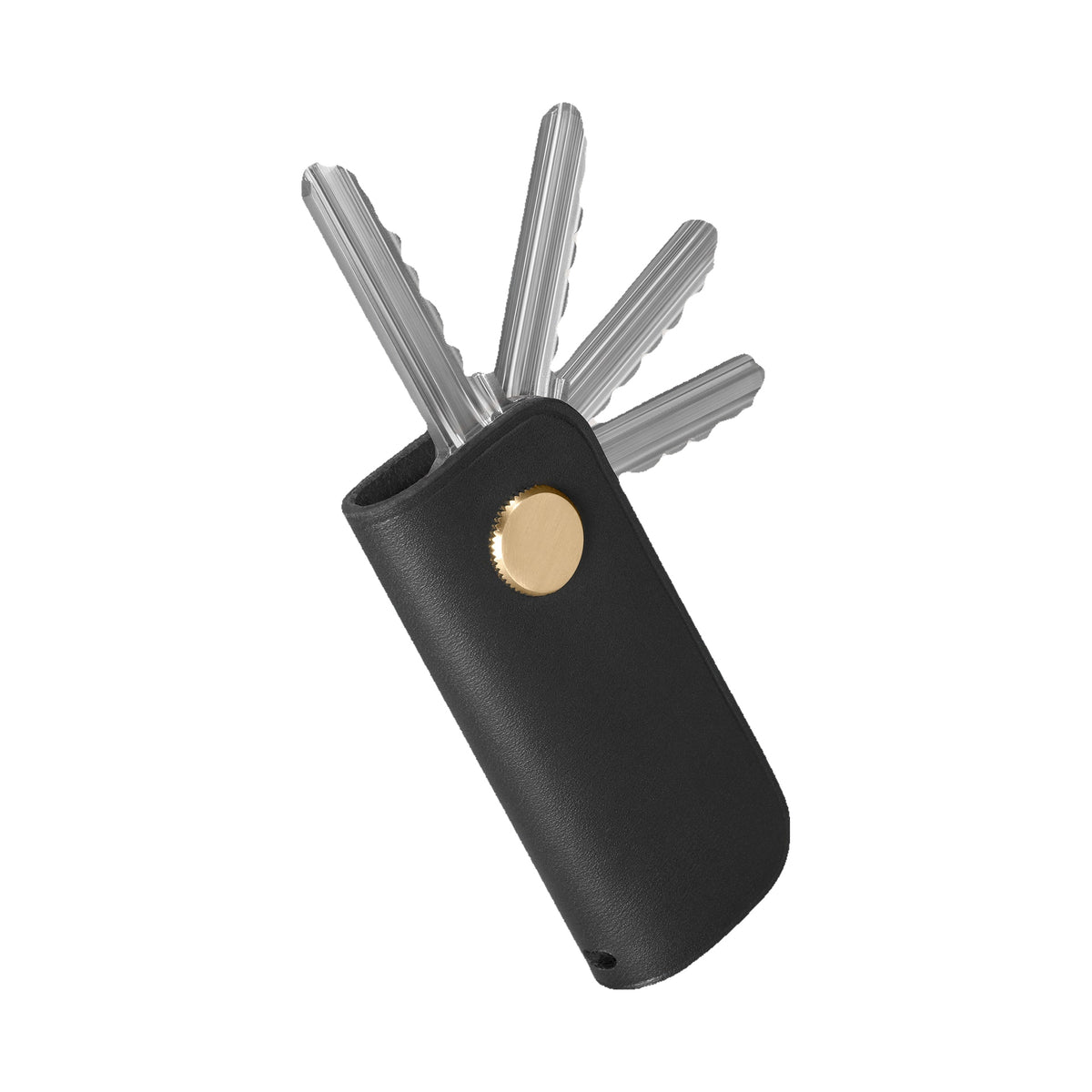 Carl Friedrik Key Organizer