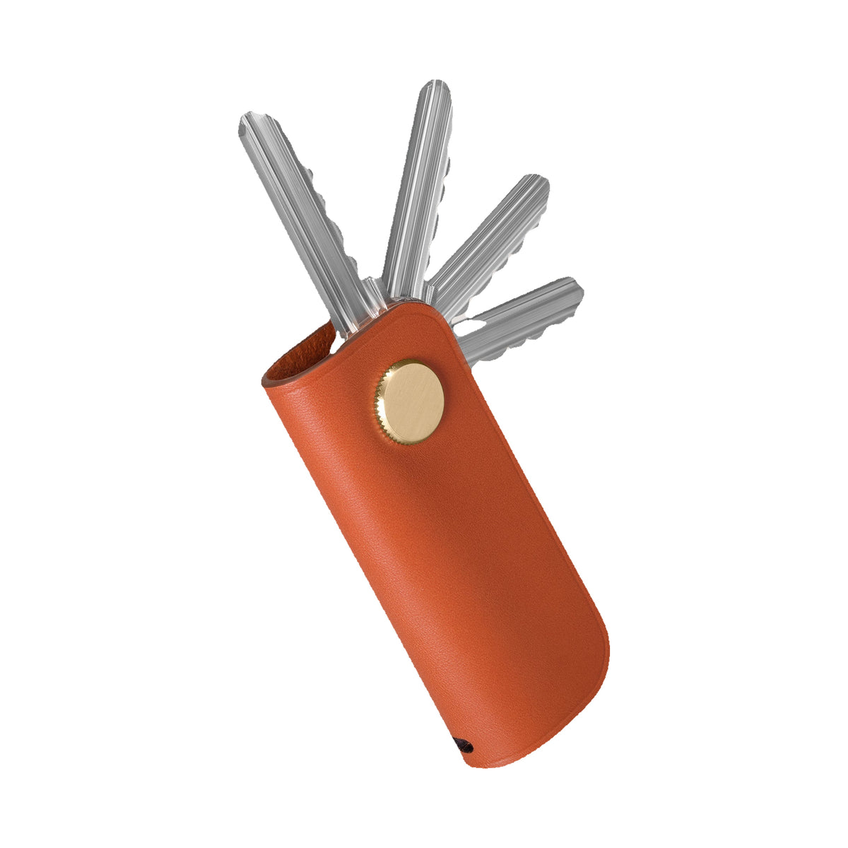 Carl Friedrik Key Organizer