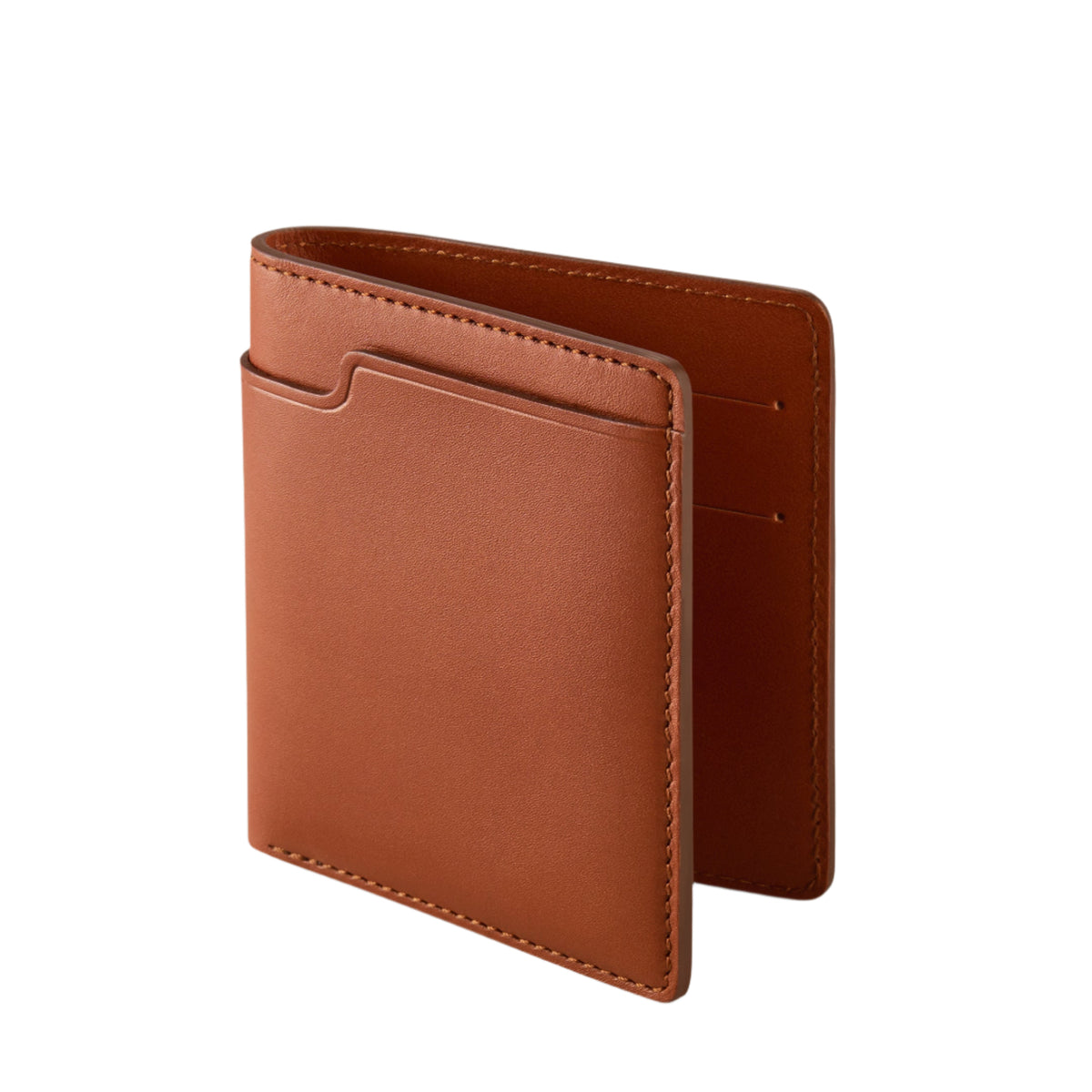 Carl Friedrik Walden Wallet