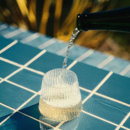 Unbreakable Wine Glass
