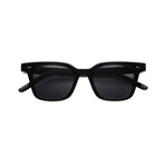 AKILA Hi-Fi Sunlgasses - Black / Black