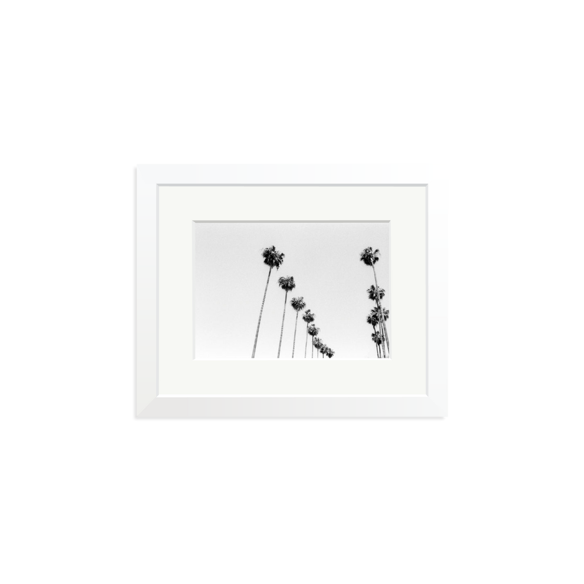 LA Palms Framed Print White Small