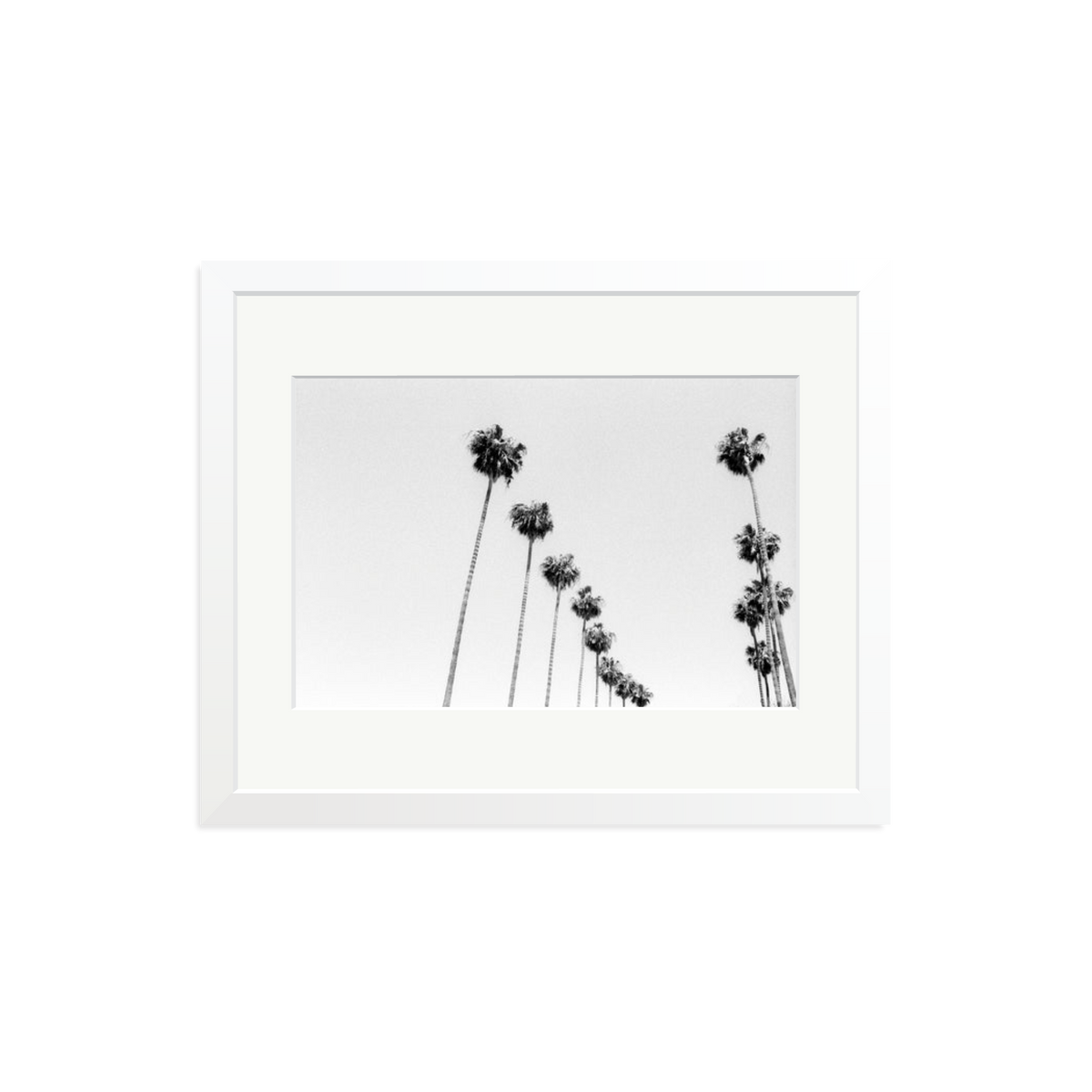 LA Palms Framed Print White Medium
