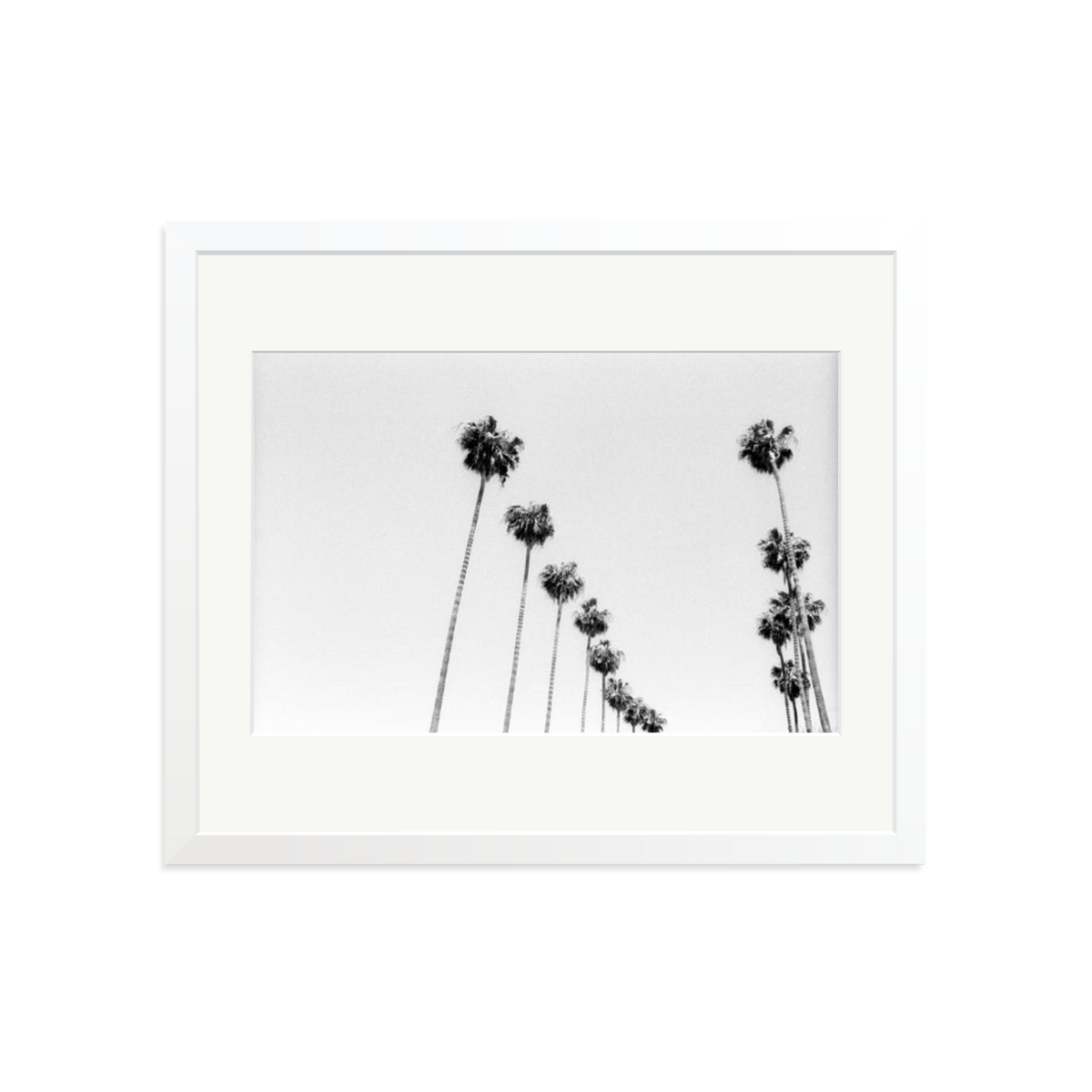 LA Palms Framed Print White Large