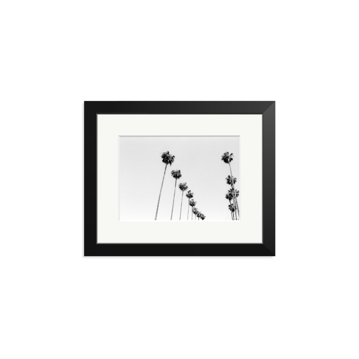 LA Palms Framed Print Black Small