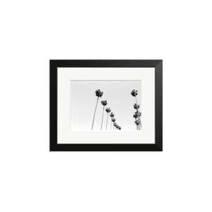 LA Palms Framed Print Black Small