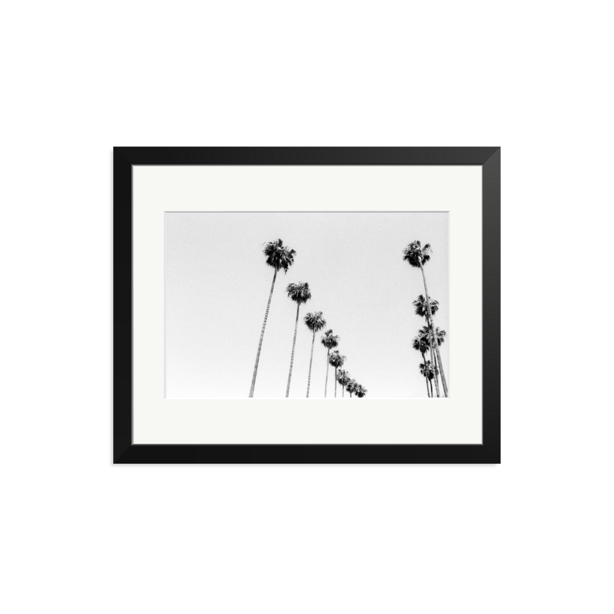 LA Palms Framed Print Black Medium