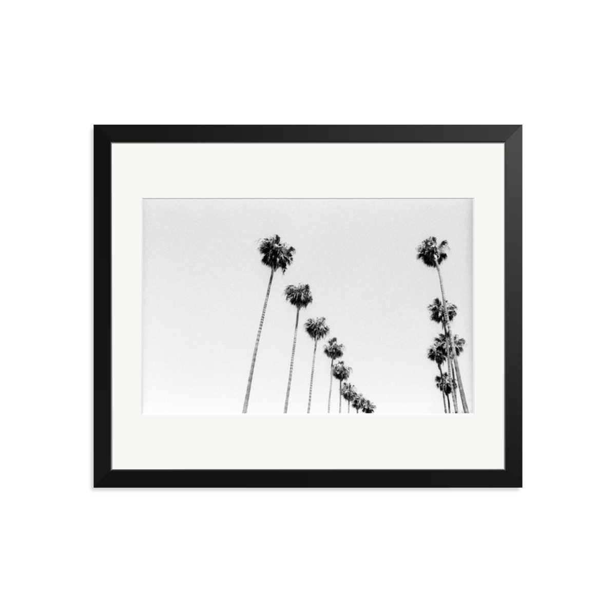 LA Palms Framed Print Black Large