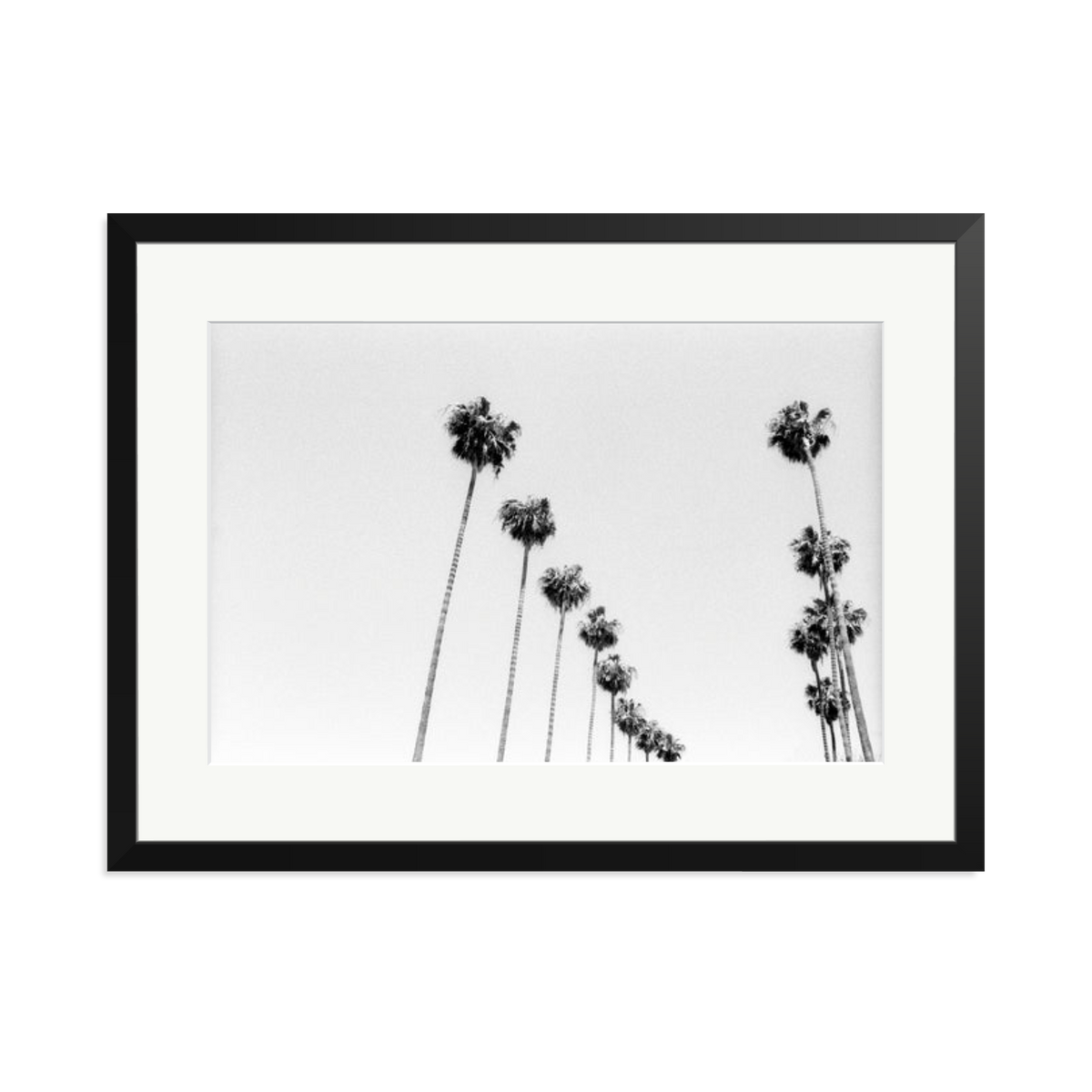 LA Palms Framed Print Black XL