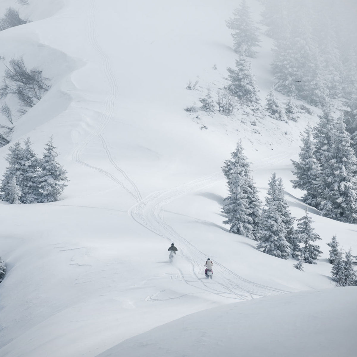 Moonbikes Electric Snowmobile