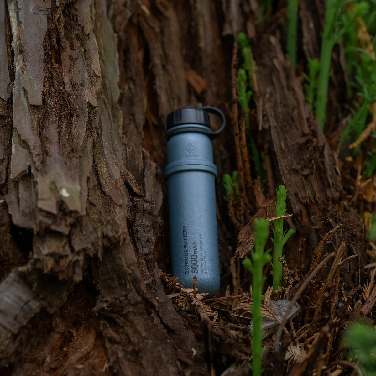 Nestout 5000mAh Power Bank